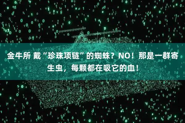 金牛所 戴“珍珠项链”的蜘蛛？NO！那是一群寄生虫，每颗都在吸它的血！
