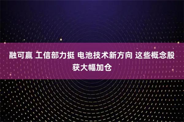 融可赢 工信部力挺 电池技术新方向 这些概念股获大幅加仓